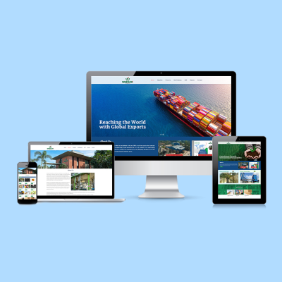 Website for Windson Chemical